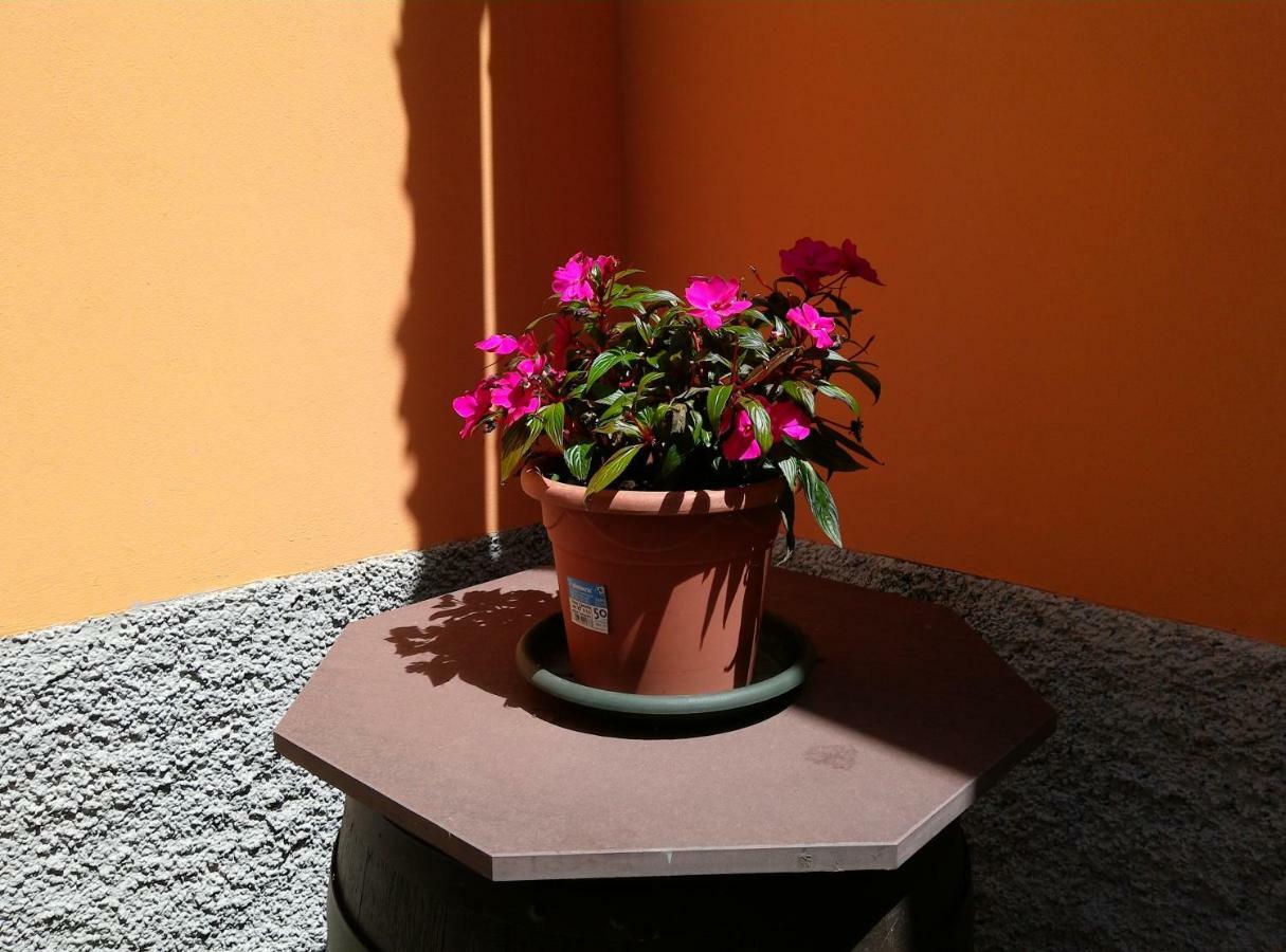 Casavacanzaicolli Villa Pescantina Dış mekan fotoğraf